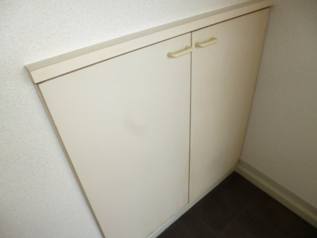 ノーブルハウスAの内装|シューズボックス