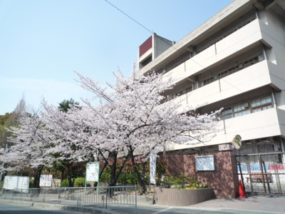 【周辺】 | 千里山グランドハイツ　 | 千里第2小学校