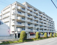 レインボー東郷白鳥の画像