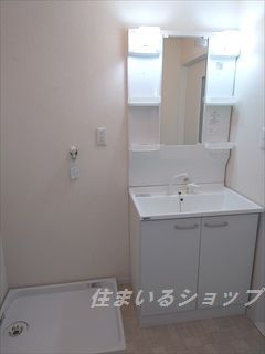 広島市安佐北区口田４丁目の賃貸マンションの洗面所|シャンプードレッサー