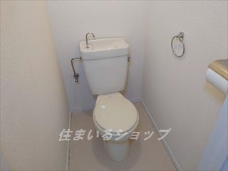 広島市安佐北区口田４丁目の賃貸マンションのトイレ