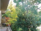 【展望】 | ベルテ表参道