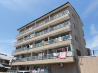 メルヘンハイツ大久保の画像