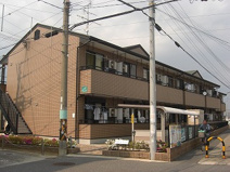 フローレスハタの画像