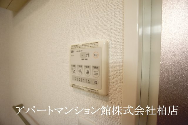 ゾーネンブルーメ・ノインのその他