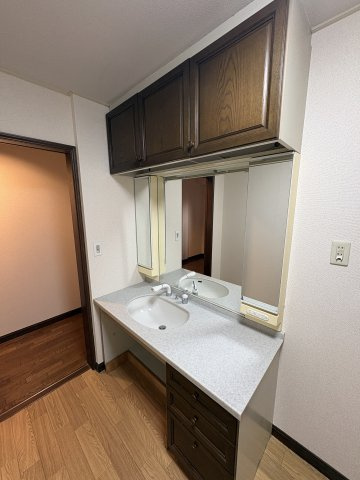 メイプルマンションの洗面所