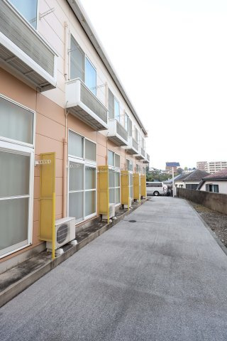 【展望】 | 椎の実