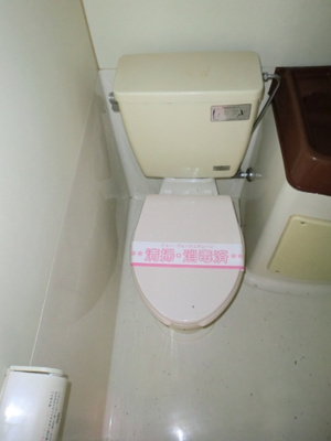 【トイレ】 | ニューアイランドハイツ | ＜ニューアイランドハイツ＞