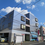 ザグレイスハヤタの画像