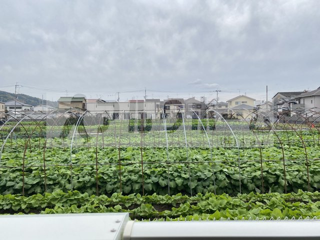 パティオ・エムズの展望