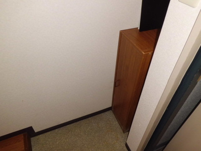  | エスティーコート