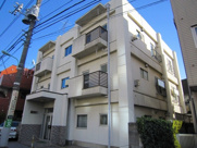 ハイネスハルコの画像