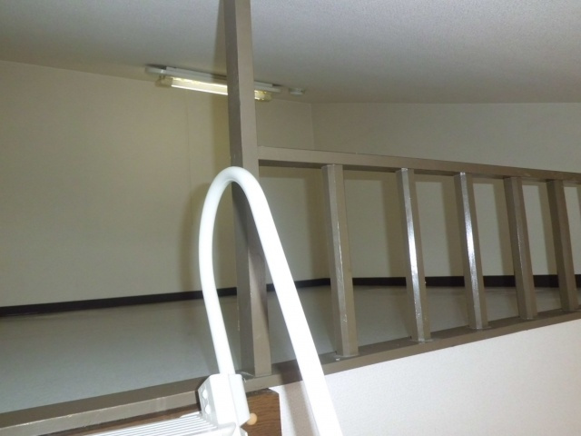 マンションライツのその他|4階のみロフト付となります。