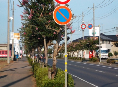 【周辺】 | パンプキンハウス２号棟