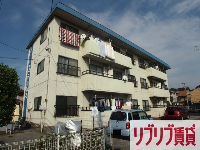 パルサーの外観