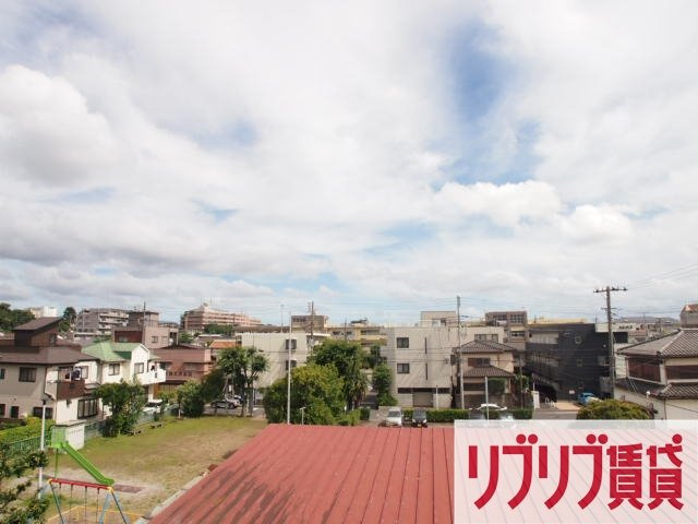 パルサーの展望