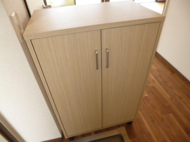 メゾンセンチュリーAの内装|シューズボックス