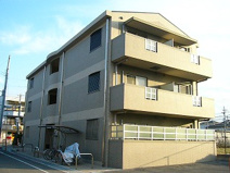 VIRAGEの画像