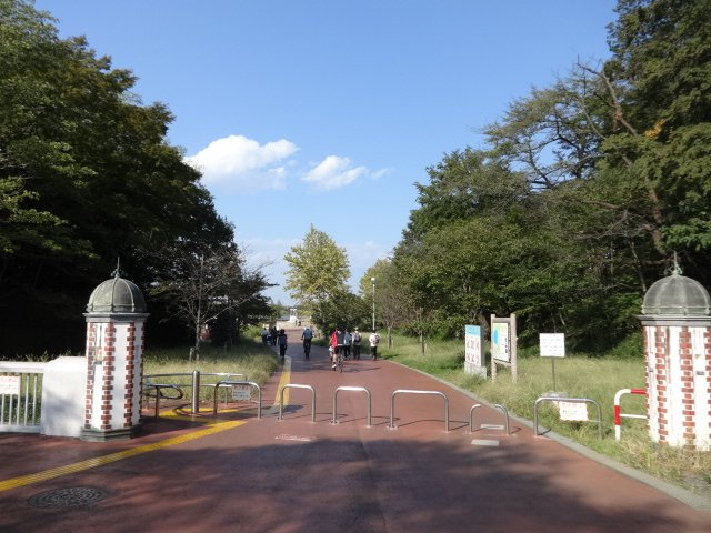メゾンド東大和の周辺|徒歩２分で多摩湖の堤防上広場へ。小さいお子様にも良い環境です。