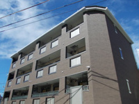 サザンウイングの画像