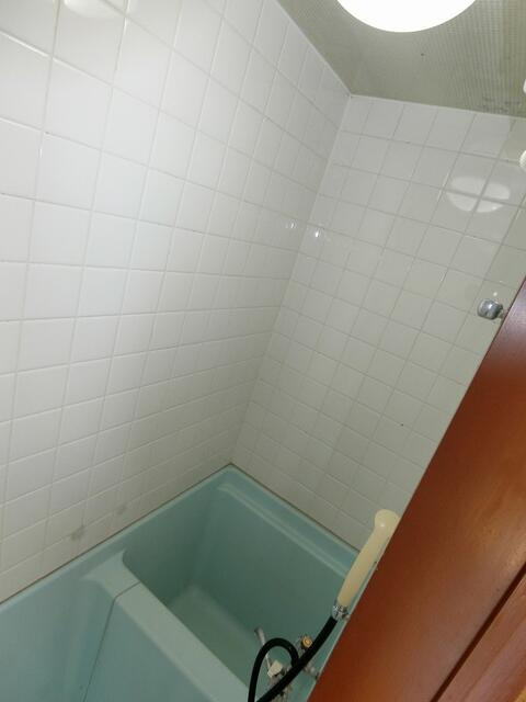 ニューシャトレーマンションの浴室