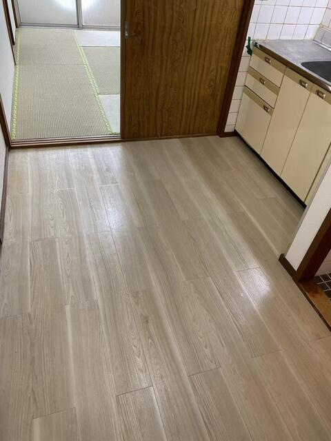 ニューシャトレーマンションの内装