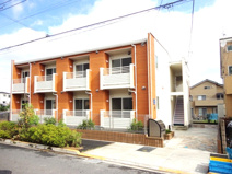 マリンゴールドの画像