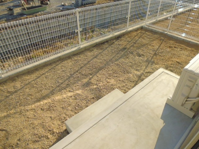 パティオ・カーサBの庭