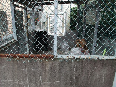 【その他共用部分】 | 秋山ハイツ上辺見