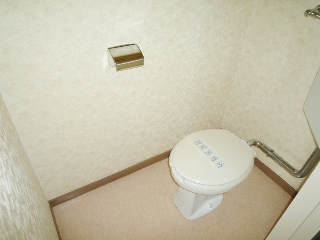 セザール麻美のトイレ