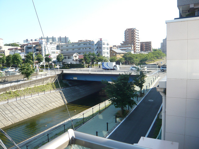 リトルグローブの展望|【リトルグローブ】