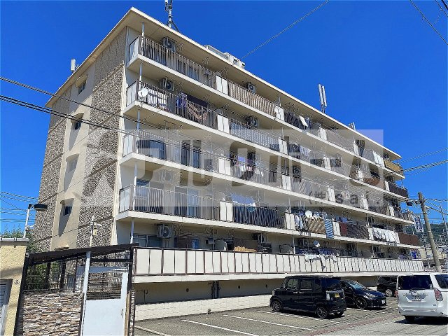 カームネス柏原