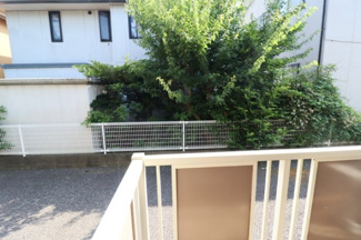 【展望】