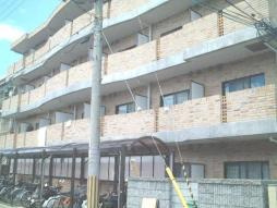 【外観】 | フォンティーヌ南三国 | フォンティーヌ南三国