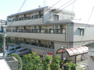 エトワール・オークの画像