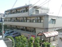 エトワール・オークの画像