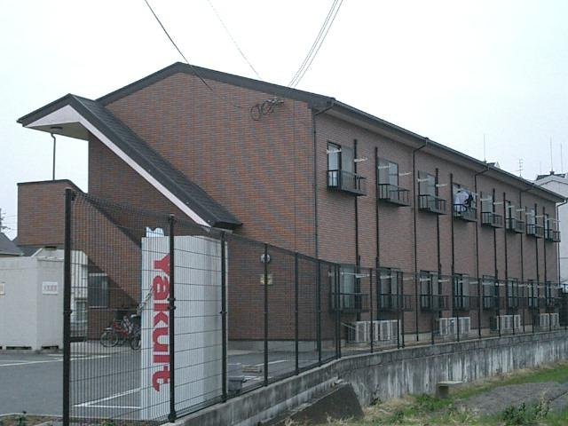 アムールもみの木