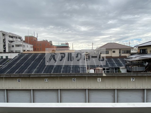 レグルスMの展望