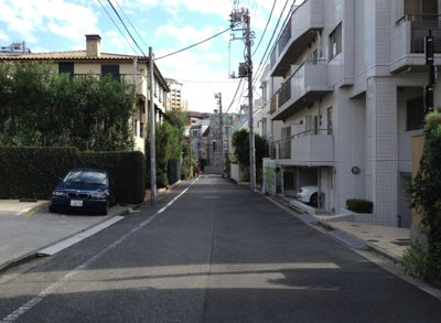 【周辺】 | ファミール南青山ブランカ | 前面道路