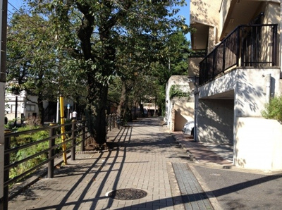 【周辺】 | セレッソ代田(下北沢賃貸一戸建て) | 前面道路