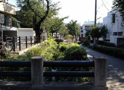 【周辺】 | セレッソ代田(下北沢賃貸一戸建て) | 代田川緑道