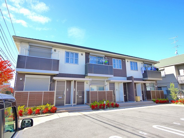 オリーブの外観