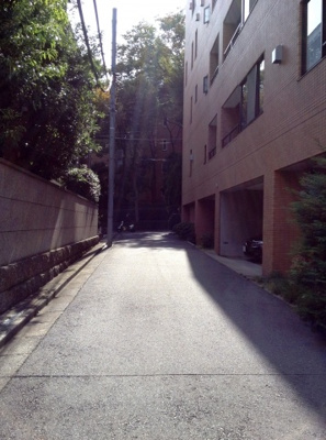 【周辺】 | テラス笄町 | 前面道路