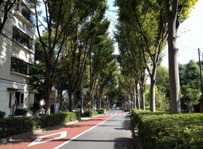 【周辺】 | テラス笄町 | 前面道路