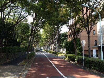【周辺】 | テラス笄町 | 前面道路