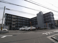 コート・ザ・ルピナスの画像