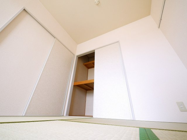 タモサーチＣの収納|大きなものも収納できそうです