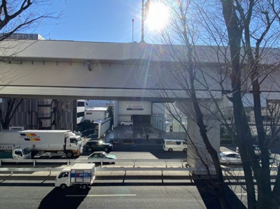 【展望】 | 黄楊の木コート