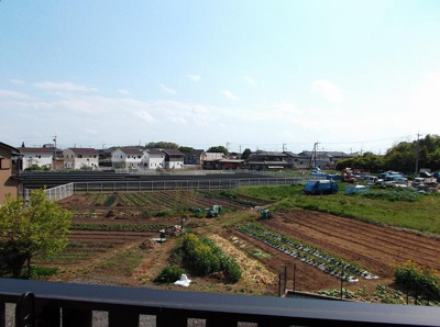 【展望】 | 花音