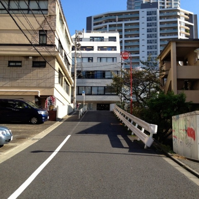 【周辺】 | パシフィック青山 | 前面道路